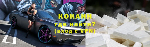 индика Новокубанск