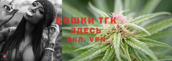 СК Новодвинск