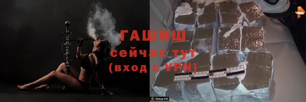 индика Новокубанск