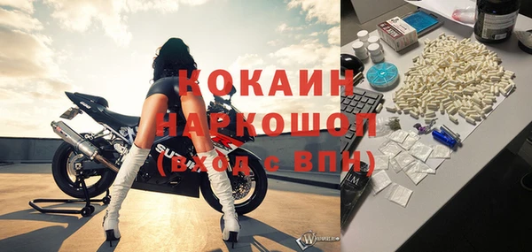 СК Новодвинск