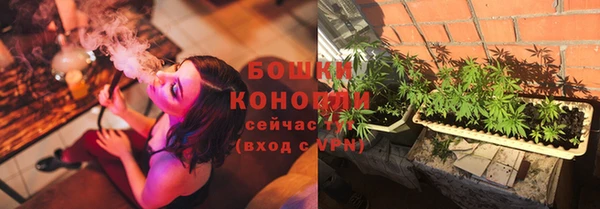 стафф Нефтегорск