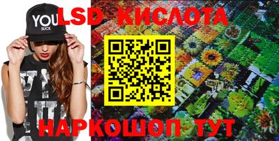 гашик Бийск