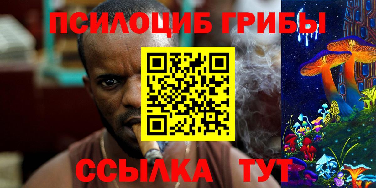 Муравленко  Галлюциногенные грибы Cubensis  Вход с VPN 