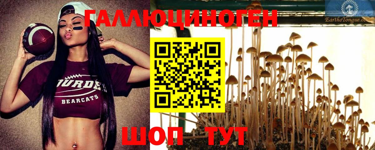 Галлюциногенные грибы прущие грибы Муравленко