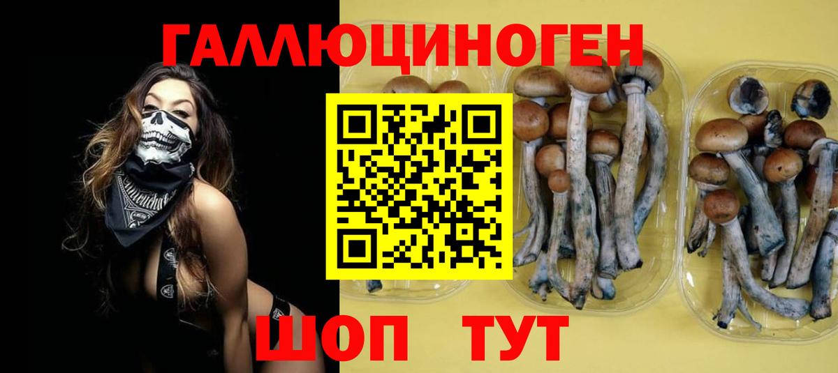 Псилоцибиновые грибы Psilocybe  Псилоцибиновые грибы Psilocybe  Муравленко 